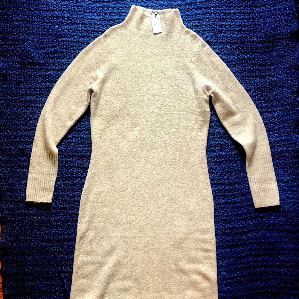 Express NWT cozy mock neck sweater dress
